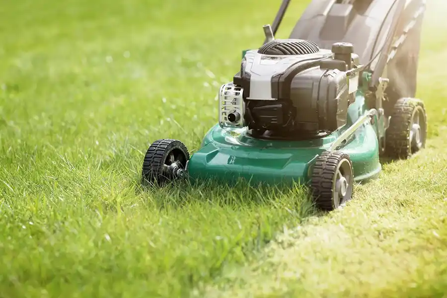 Can you mow wet grass in Lakeland, FL