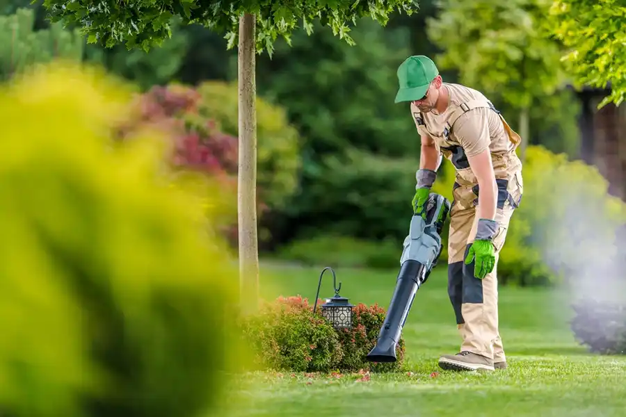 How To Clean A Backyard Lakeland, FL