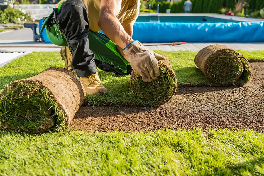 How long after installing sod can you walk on it in Lakeland, FL