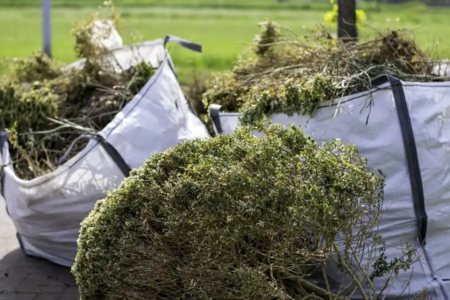 How to clear a yard full of weeds in Lakeland, FL