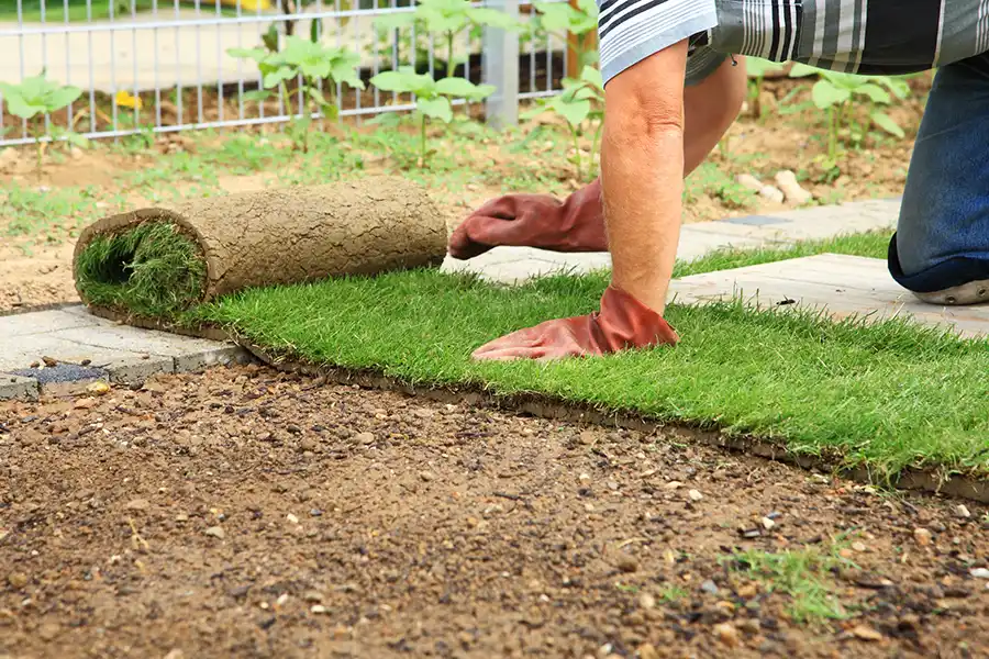 How to lay sod over existing lawn in Lakeland, FL