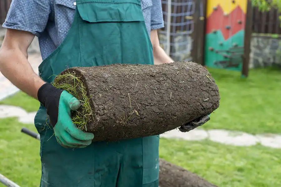 How to lay sod over existing lawn Lakeland, FL