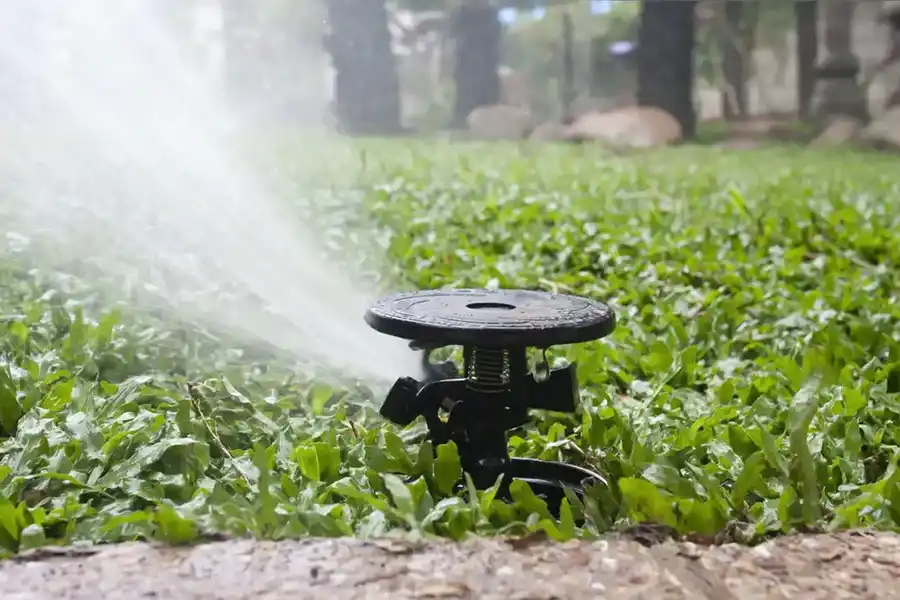 Lawn Irrigation Installation