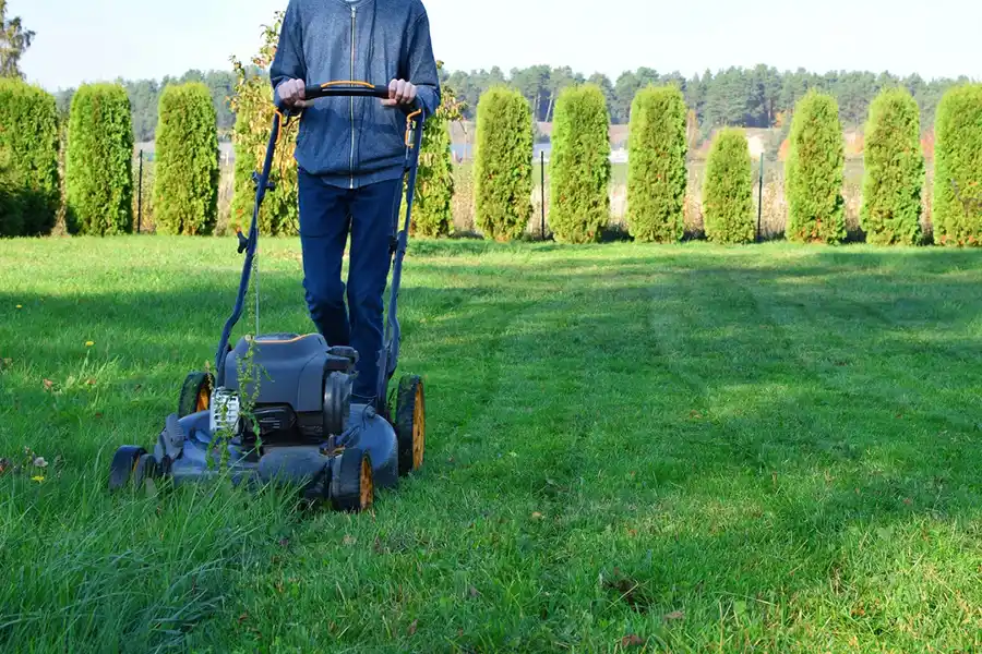 Efficient Lawn Mowing in Lakeland, FL