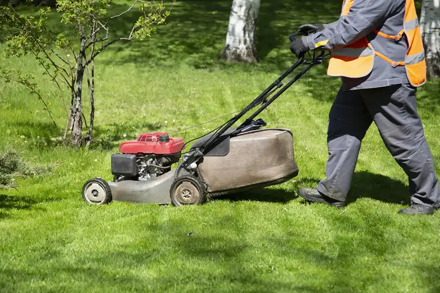 Reliable Lawn Mowing in Lakeland, FL