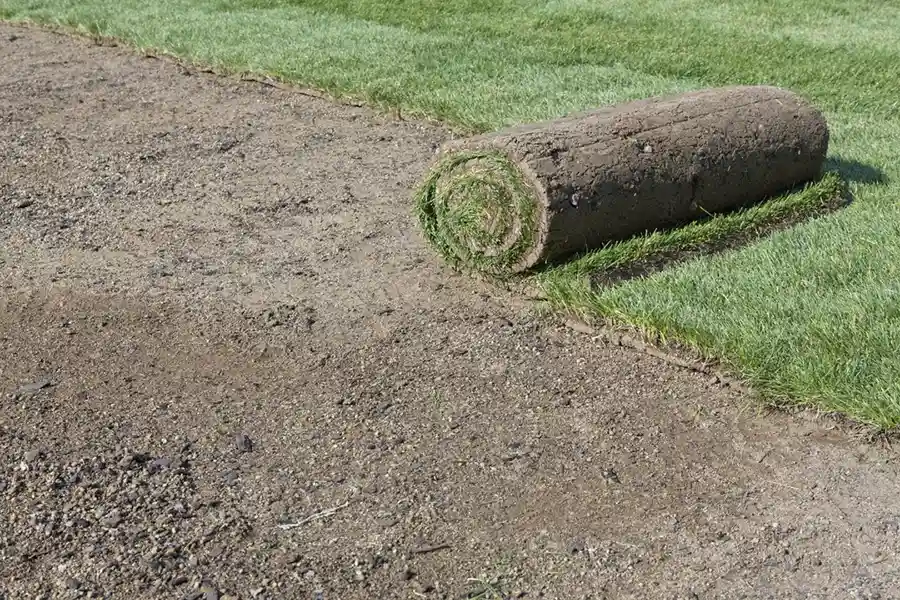 Efficient Sod Installation in Lakeland, FL