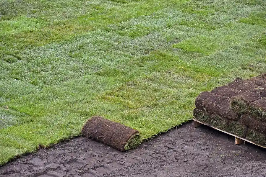 Best Sod Installation in Lakeland, FL