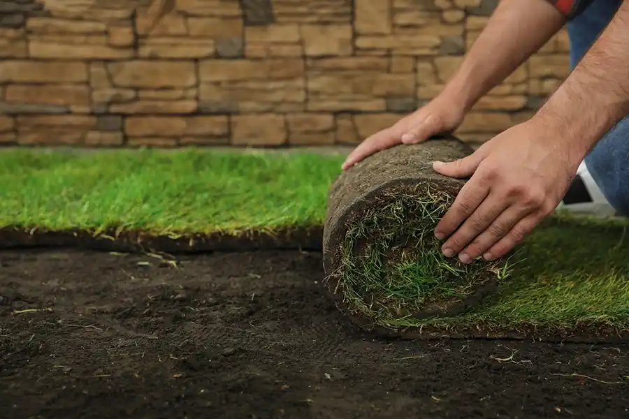 Reliable Sod Installation in Lakeland, FL