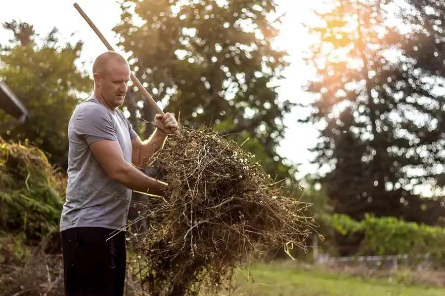 Efficient Yard cleanup in Lakeland, FL