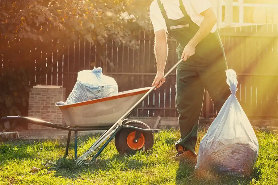 Best Yard cleanup in Lakeland, FL